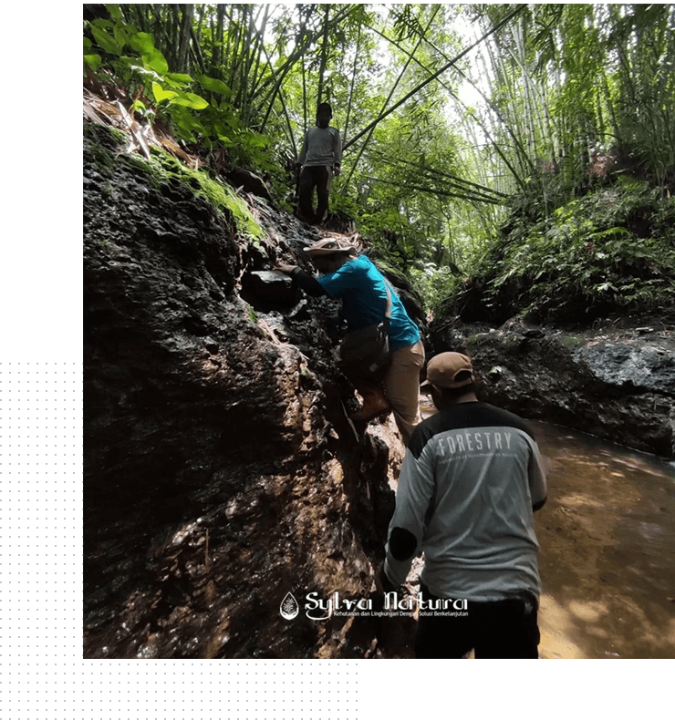 Sylva-Natura-Global-image(1)